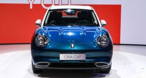 Ora Cat uzburkala Evropu: Konačno stiže na Stari kontinent!